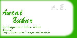 antal bukur business card